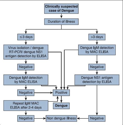 Dengue Workup .
